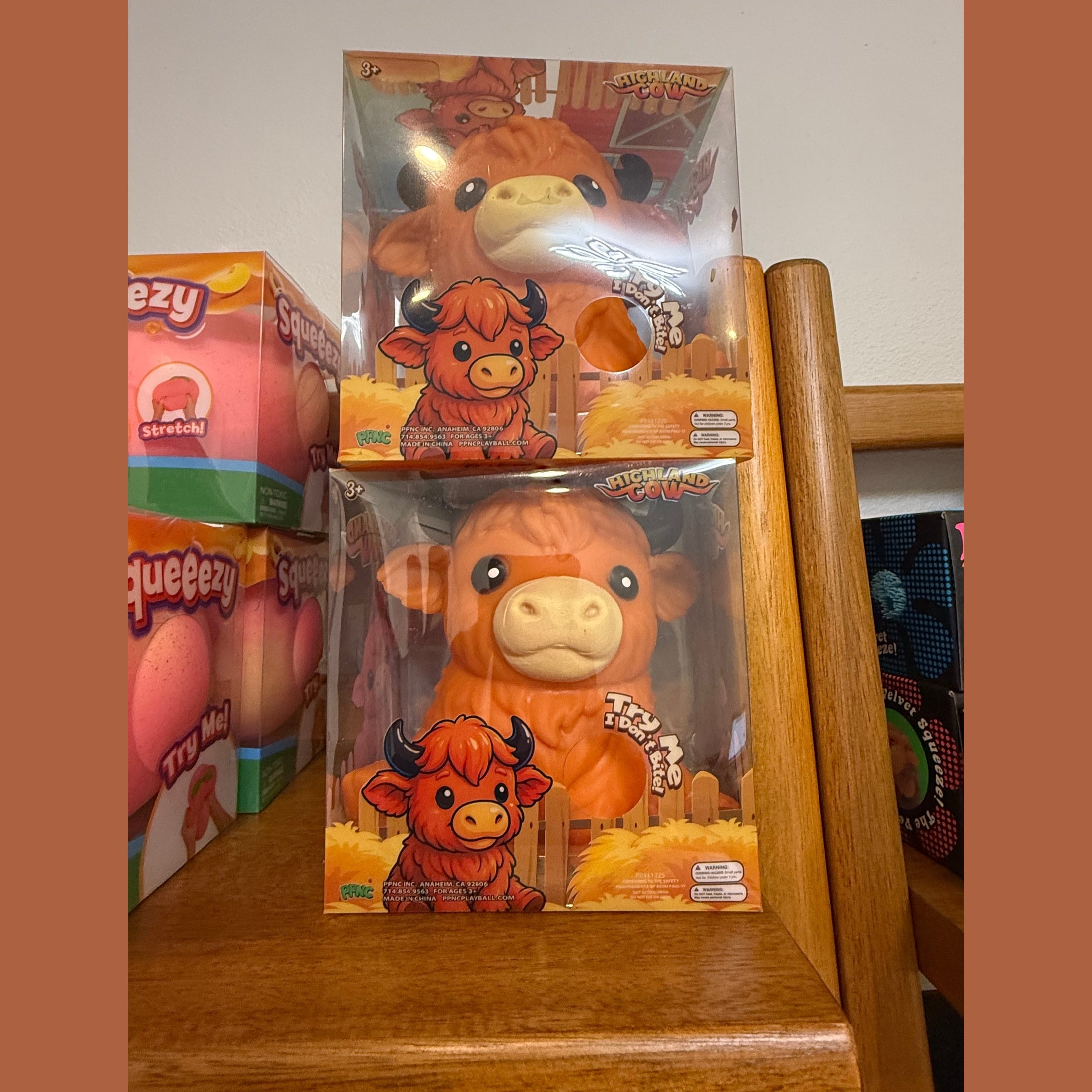 PPNC Highland Cow